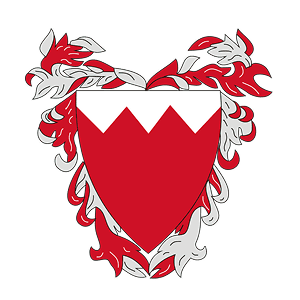 Bahrain Defence Force